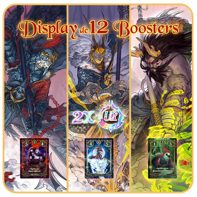 Display Trois Royaumes